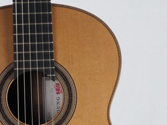 Young Seo Guitare classique modèle Special 2017