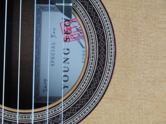 Young Seo Guitare classique modèle Special